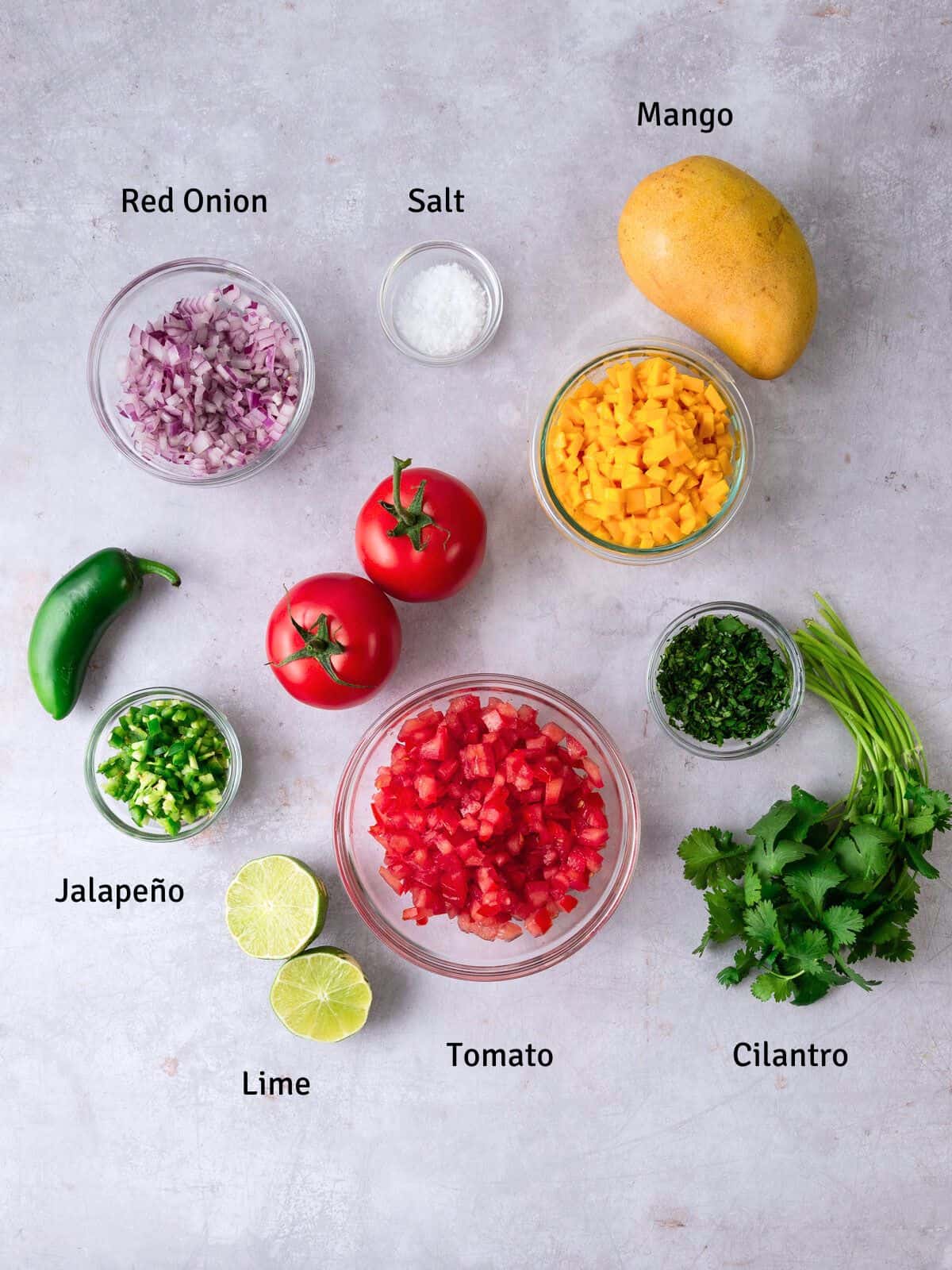 Ingredients for mango pico de gallo including red onion, tomato and jalapeño.