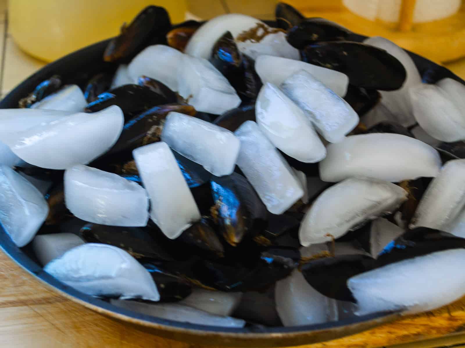 Place the fresh mussels on ice to keep cold before cooking.