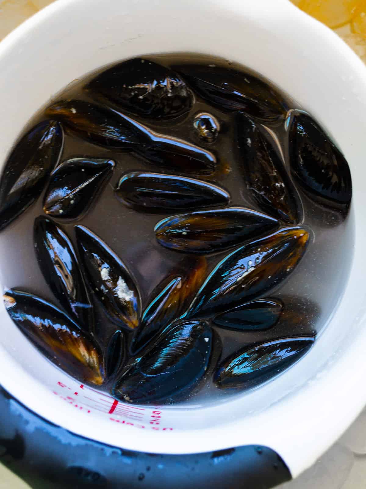 Soak mussels in cold water so they can spit out any grit.