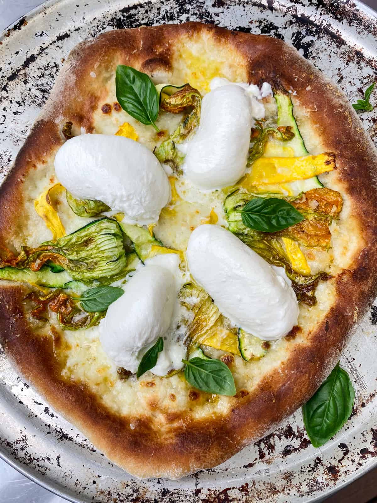 Once the zucchini flower pizza is done, top with roughly torn burrata cheese.