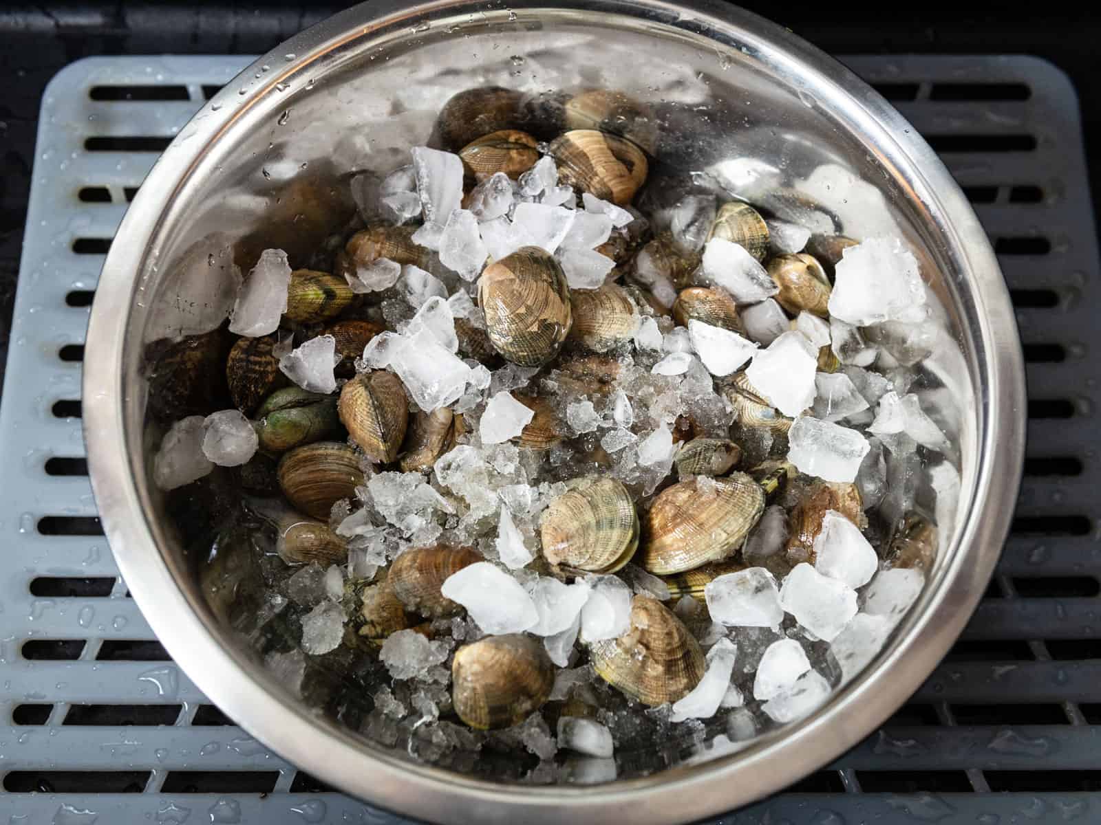 Fresh clams in a large bowl with ice to keep them cold before cooking.