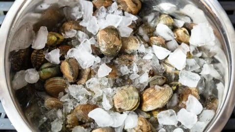 clams and oysters
