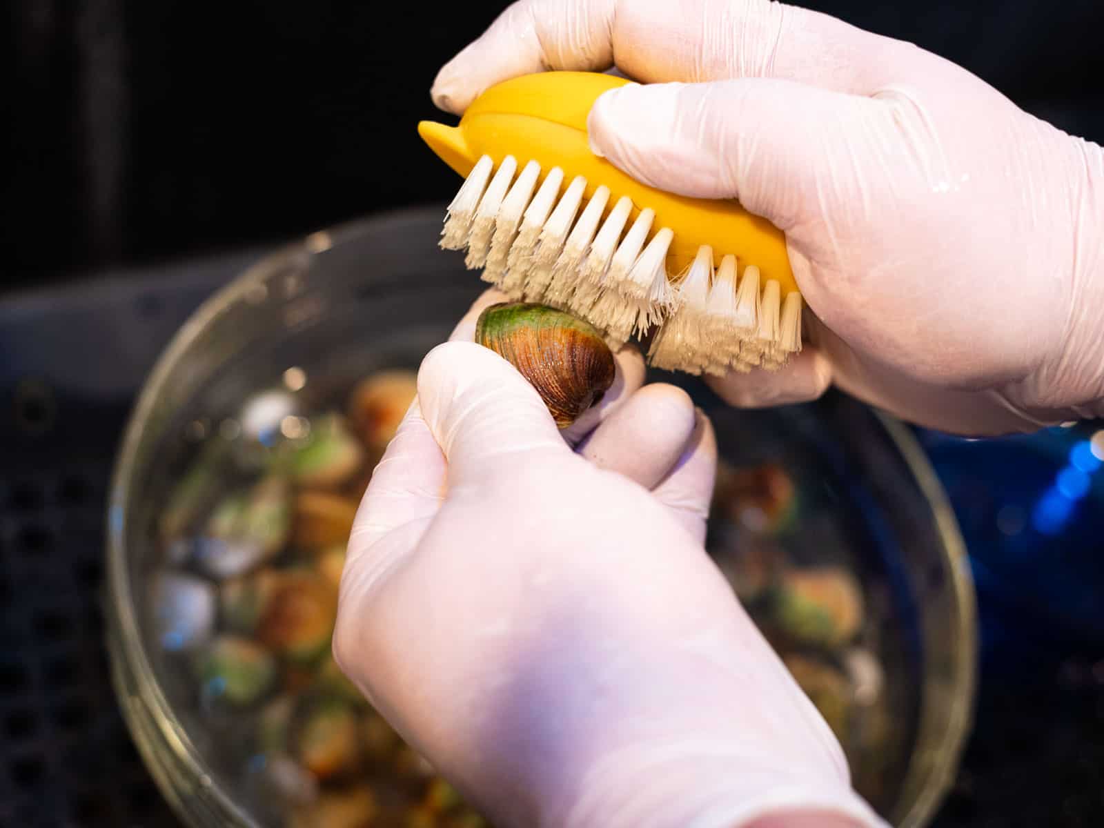 Wash and scrub each clam after they have soaked in the salt water.