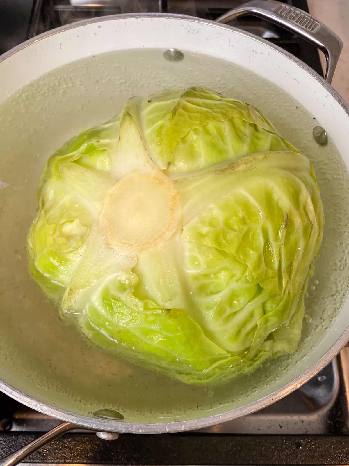 Place the whole cabbage in a pot of boiling water and boil until the outer leaves are pliable.