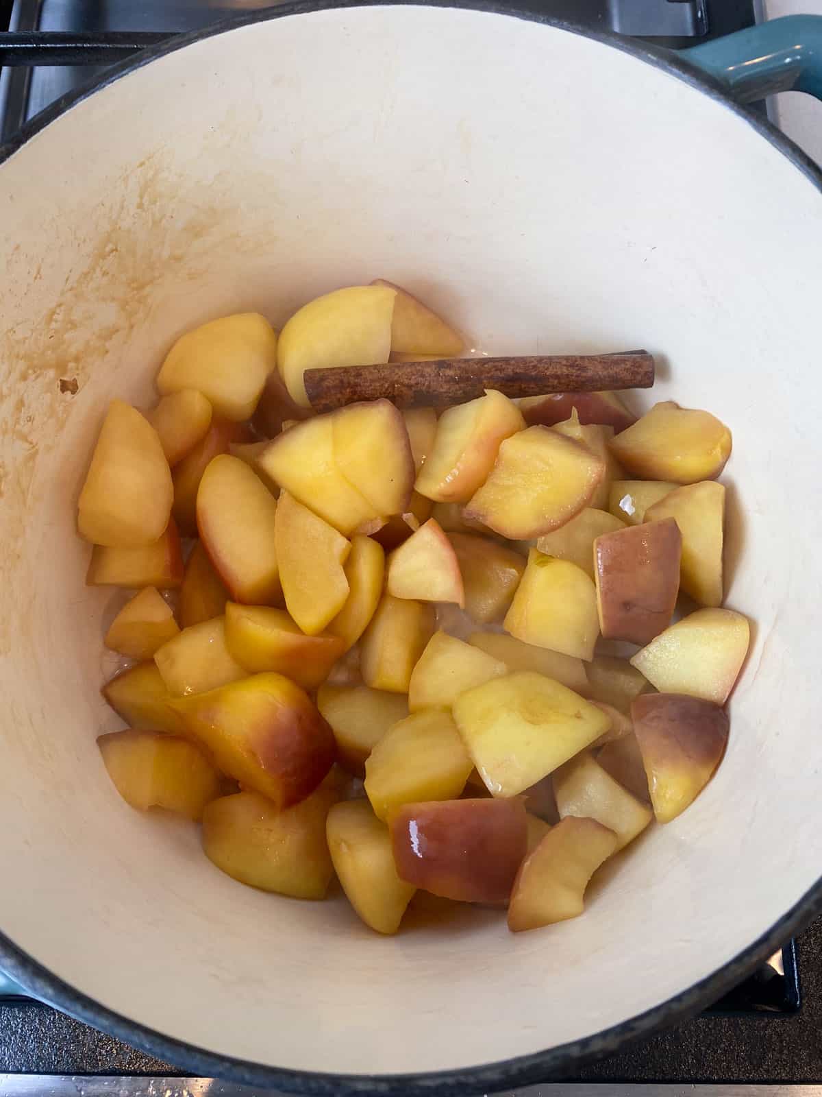 Cook the chopped apples and cinnamon until the apples are very soft.