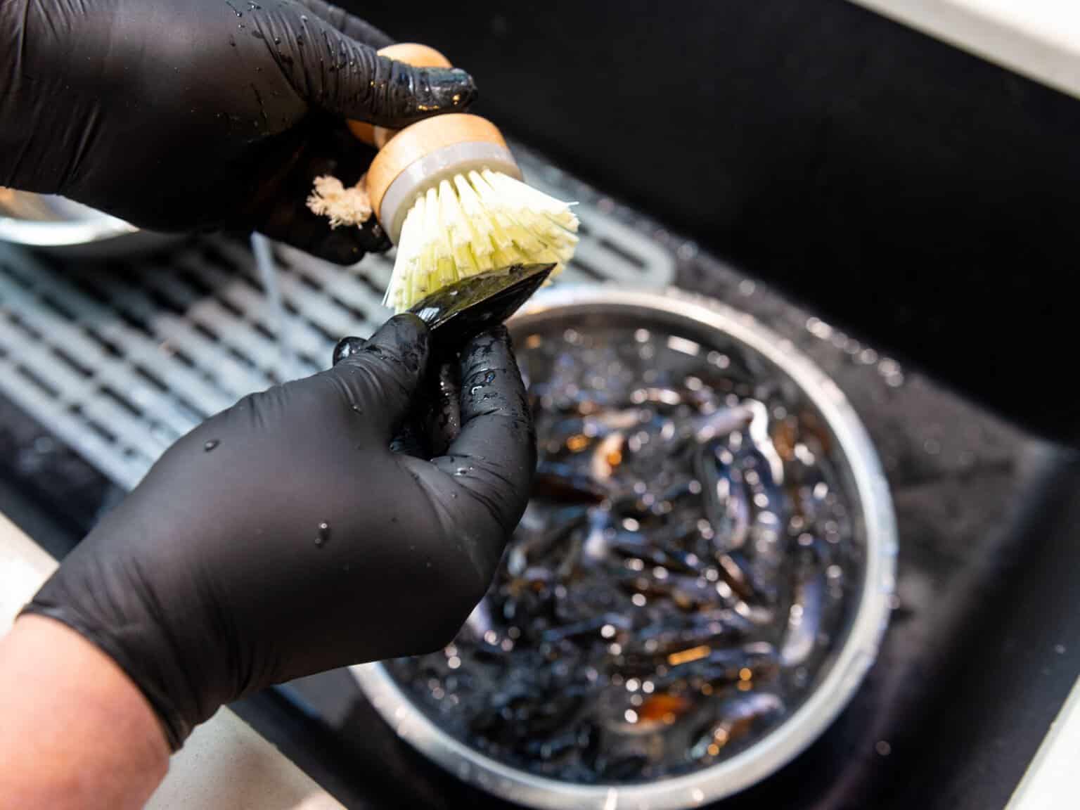 Shellfish Brush How to Clean Mussels - The Little Ferraro Kitchen