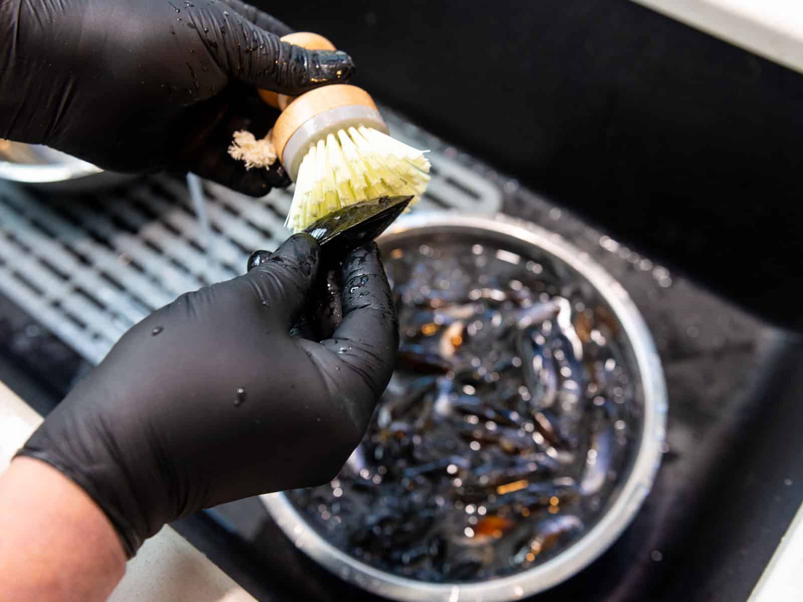 Use a shellfish scrubber to scrub each mussel and remove any exterior debris.