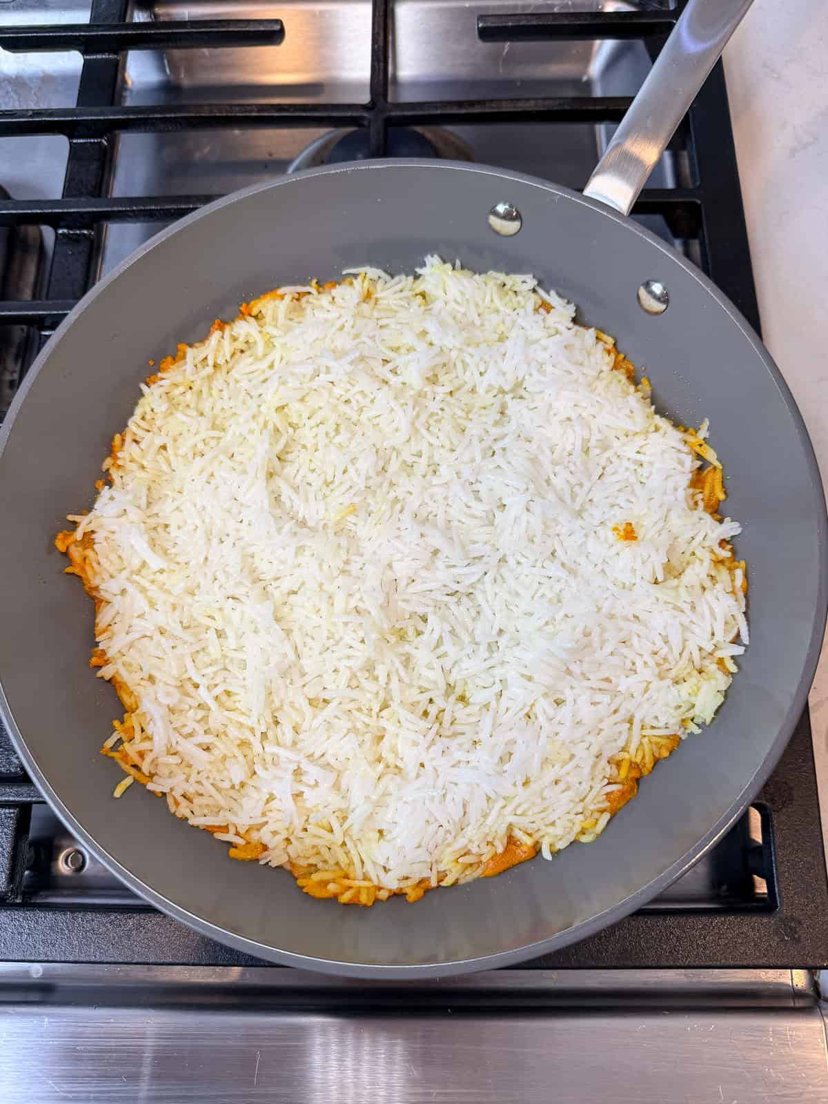 Add the first layer of rice onto the saffron and oil mixture. use a spatula to gent spread it out into an even layer, this will be the tahdig aka the crispy rice layer.