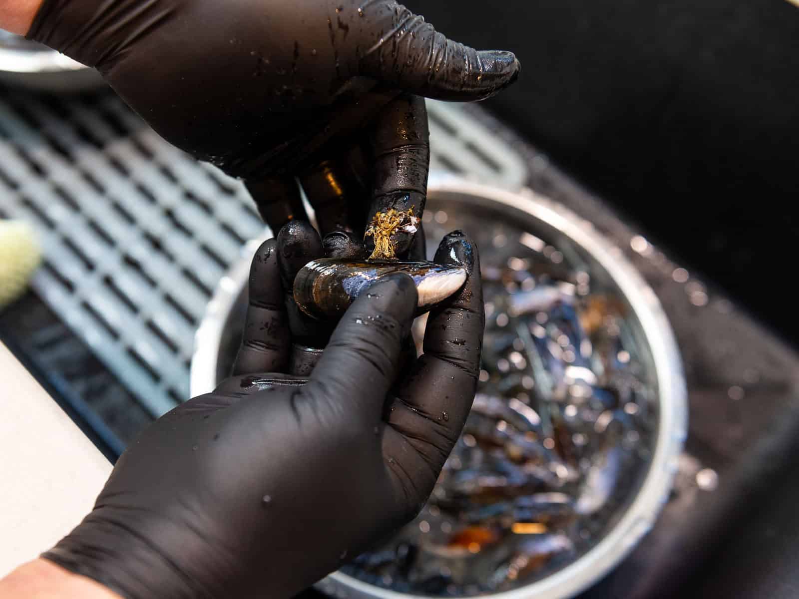 Most mussels have a beard on them, make sure to remove this before cooking the mussels.