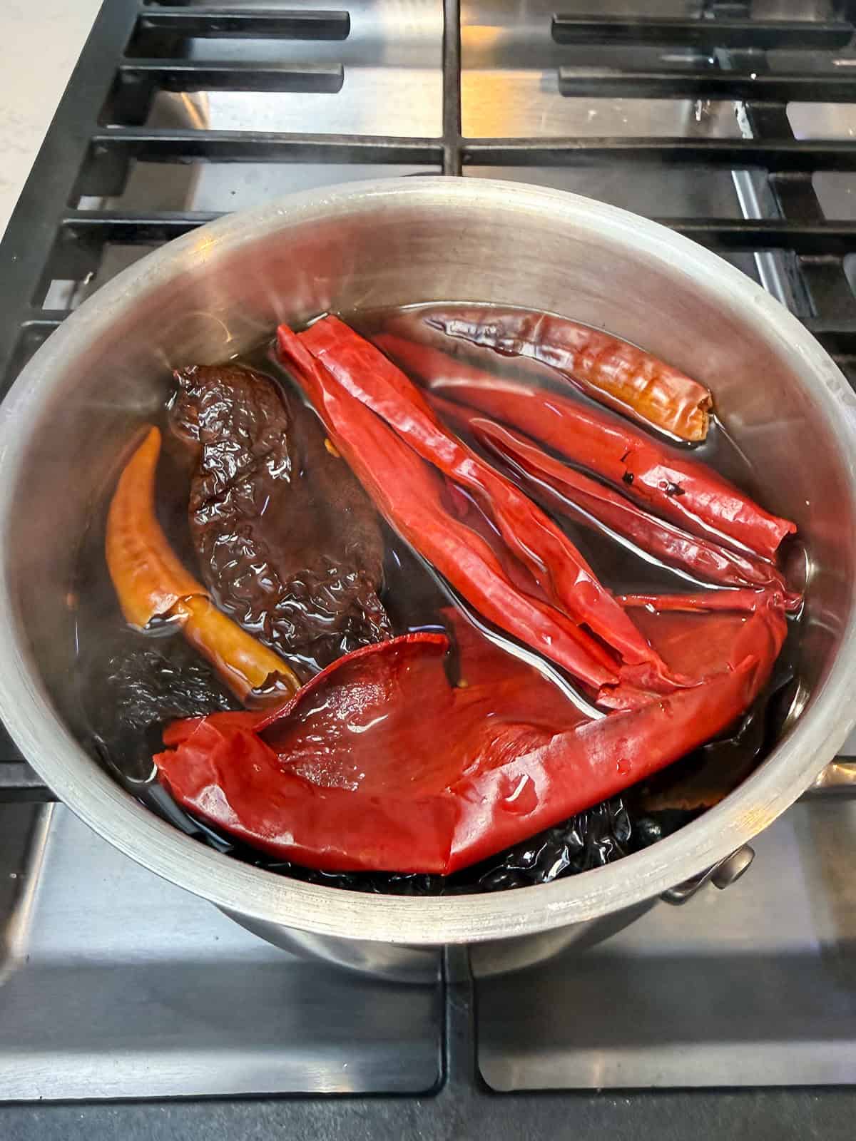 Add the dried chiles to a pot of water and simmer for a few minutes until softened.